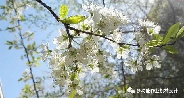 多功能果園作業(yè)平臺(tái)--果園管理的好搭檔！